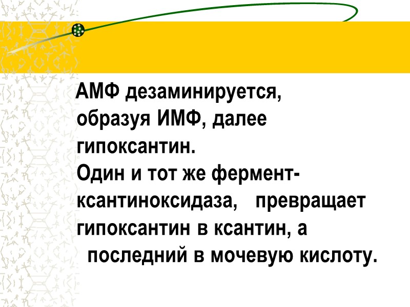 АМФ дезаминируется,           образуя ИМФ,